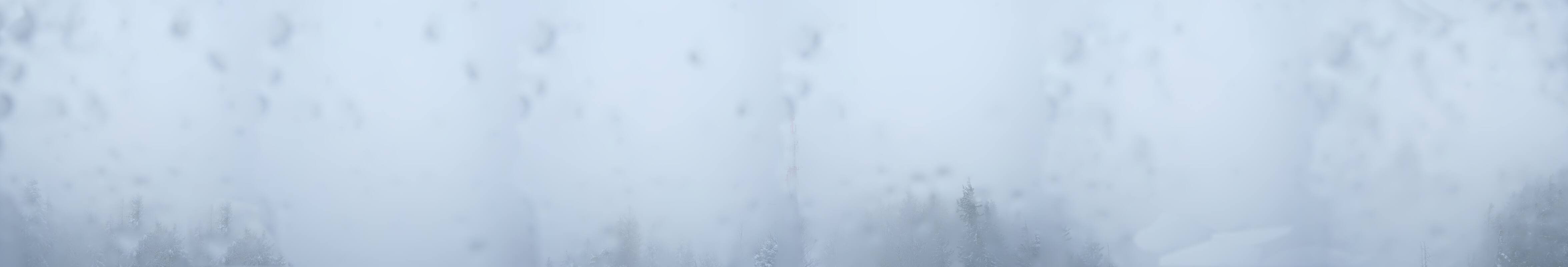 Archived image Webcam Lake Altaussee