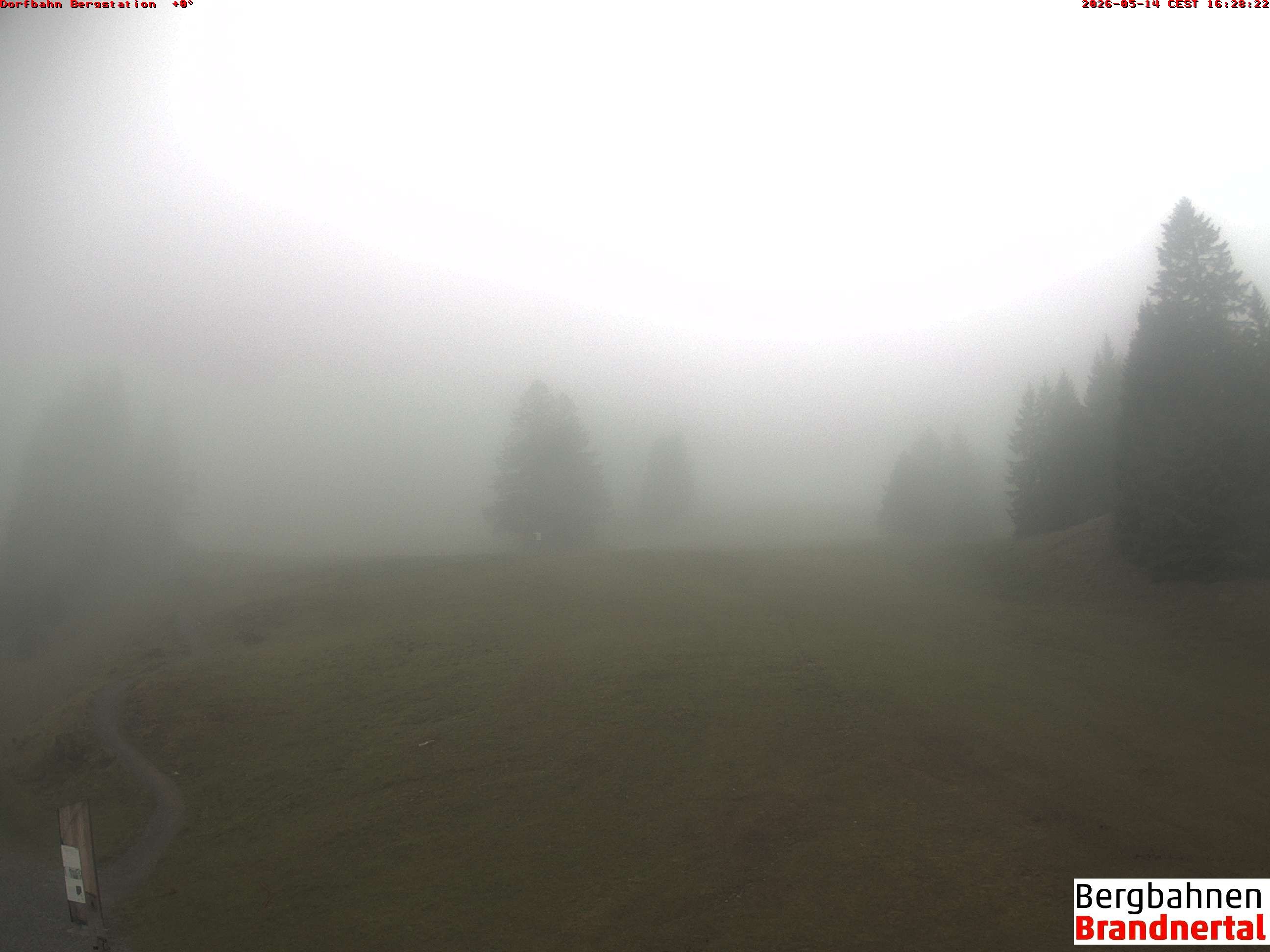 Archiv Foto Webcam Bergstation Dorfbahn, Brandnertal in Vorarlberg