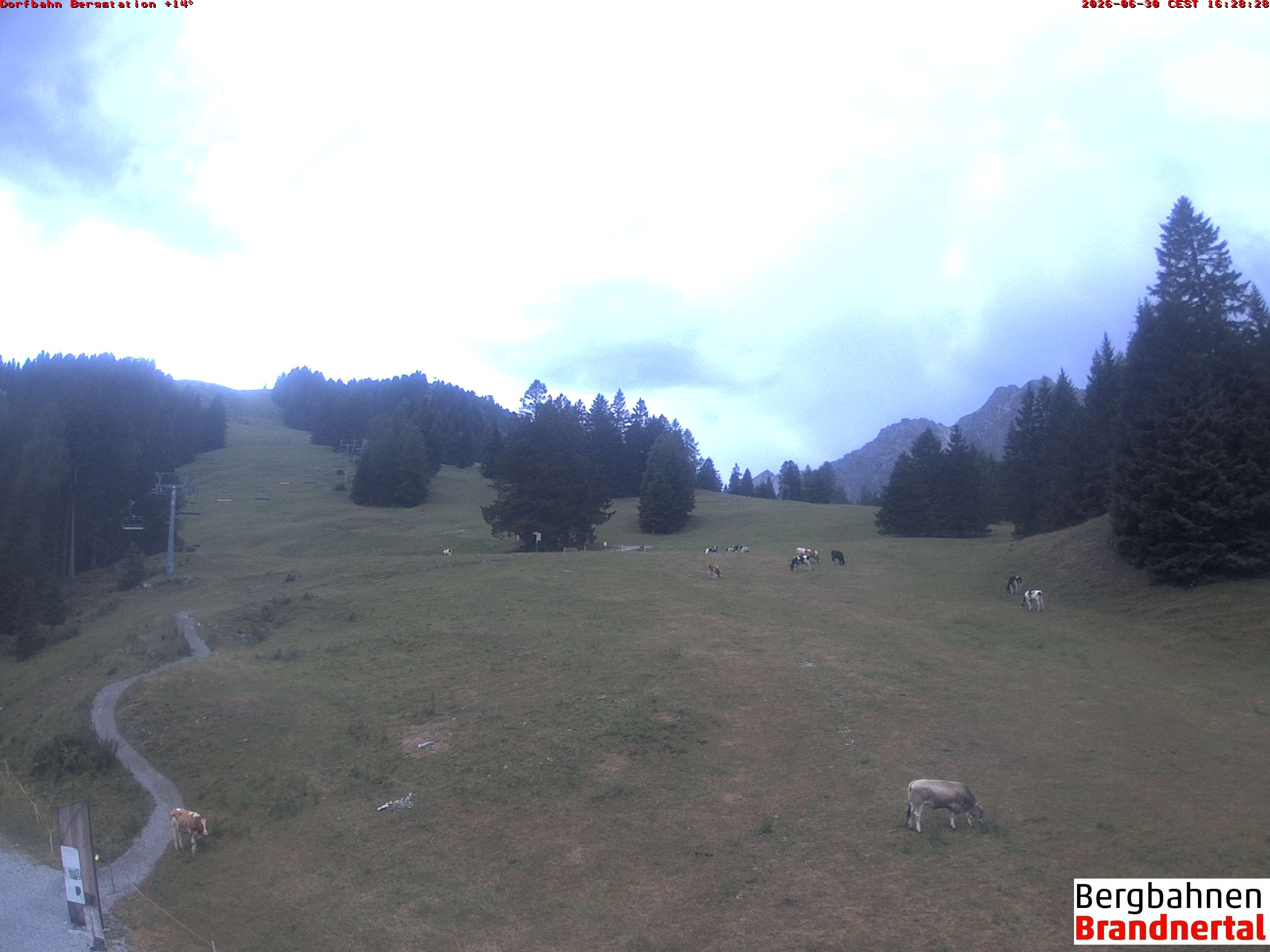 Archiv Foto Webcam Bergstation Dorfbahn, Brandnertal in Vorarlberg