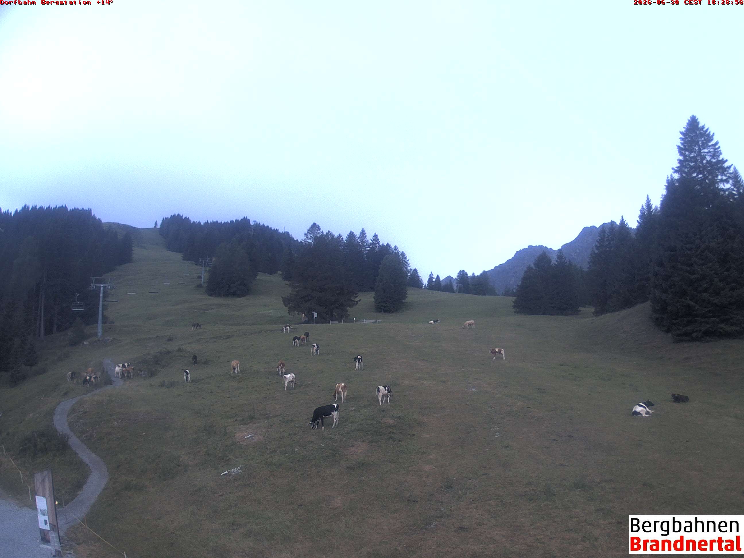 Archiv Foto Webcam Bergstation Dorfbahn, Brandnertal in Vorarlberg