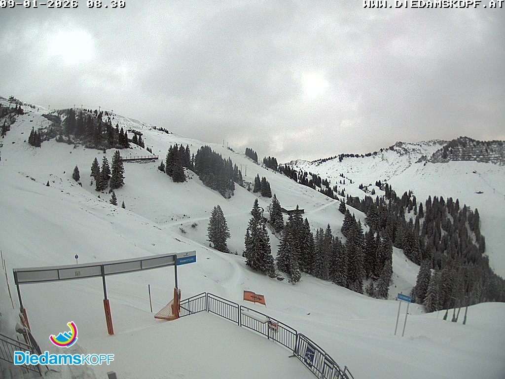 Archiv Foto Webcam Diedamskopf: Ausblick Wedelstube