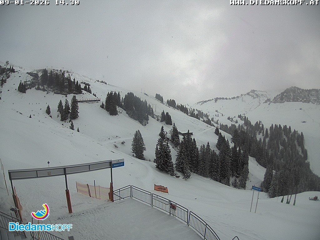 Archiv Foto Webcam Diedamskopf: Ausblick Wedelstube