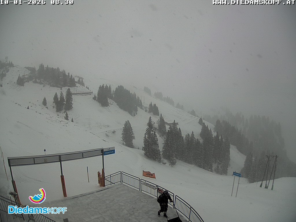 Archiv Foto Webcam Diedamskopf: Ausblick Wedelstube