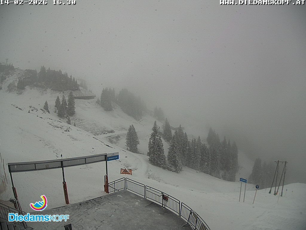 Archiv Foto Webcam Diedamskopf: Ausblick Wedelstube