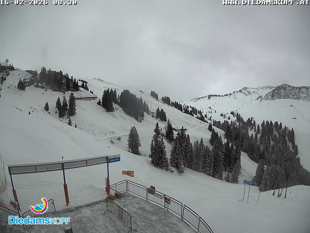 Archived image Webcam Mountain Diedamskopf - View Wedelstube