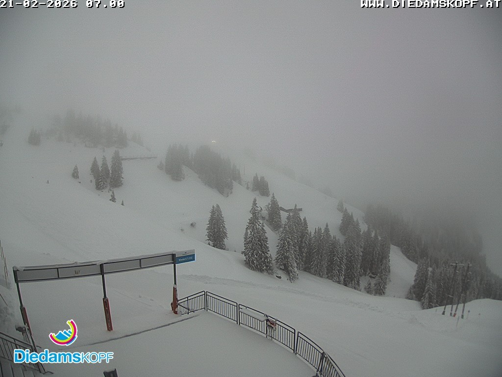 Archiv Foto Webcam Diedamskopf: Ausblick Wedelstube