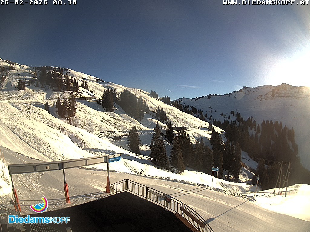 Archived image Webcam Mountain Diedamskopf - View Wedelstube