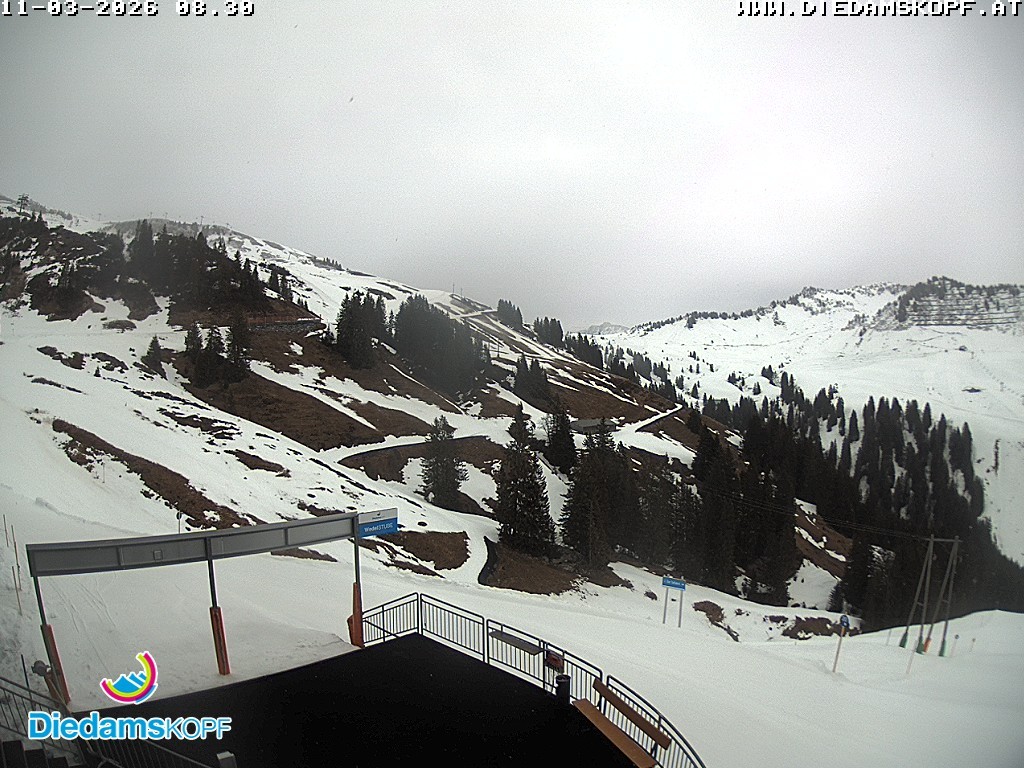 Archiv Foto Webcam Diedamskopf: Ausblick Wedelstube