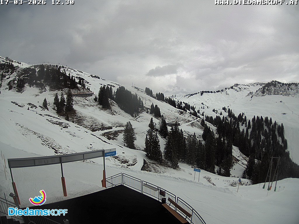 Archiv Foto Webcam Diedamskopf: Ausblick Wedelstube