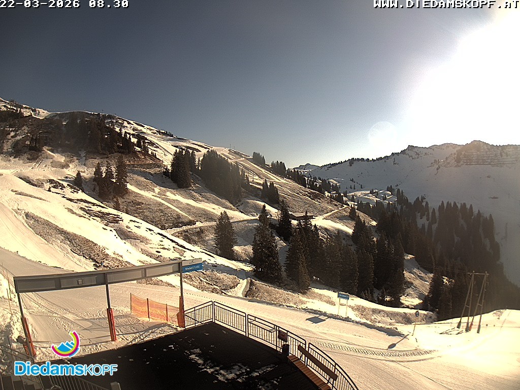 Archived image Webcam Mountain Diedamskopf - View Wedelstube