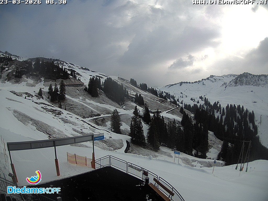 Archived image Webcam Mountain Diedamskopf - View Wedelstube