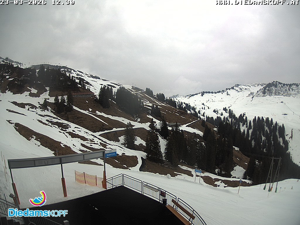 Archived image Webcam Mountain Diedamskopf - View Wedelstube