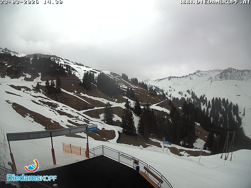 Archived image Webcam Mountain Diedamskopf - View Wedelstube