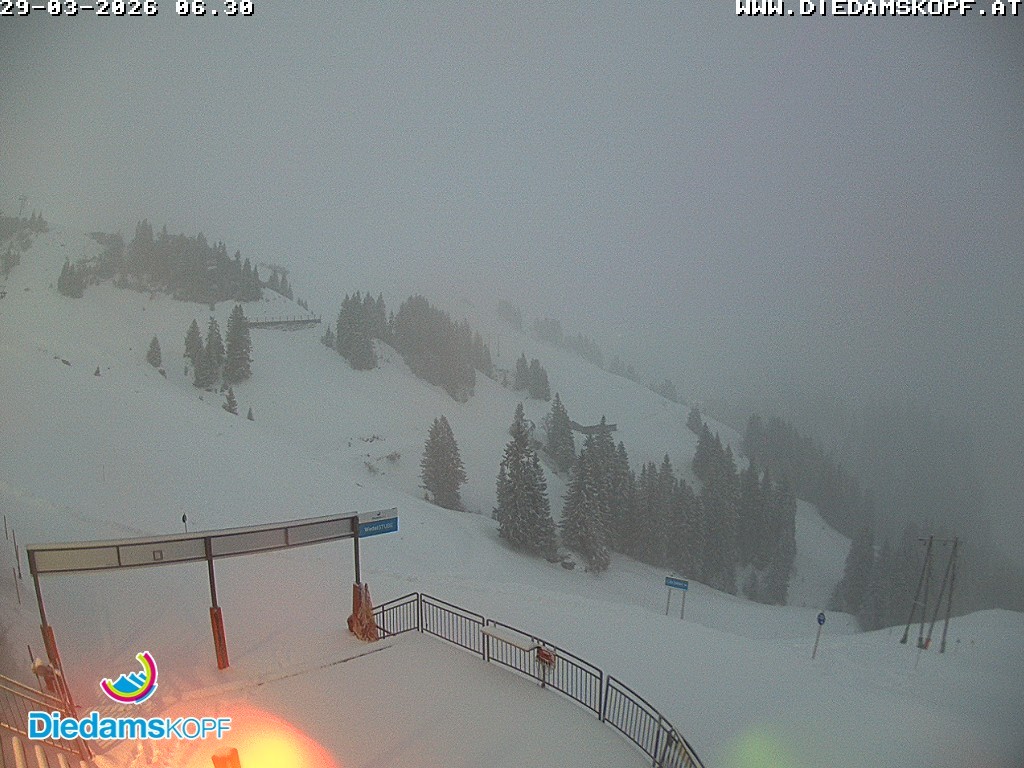 Archiv Foto Webcam Diedamskopf: Ausblick Wedelstube