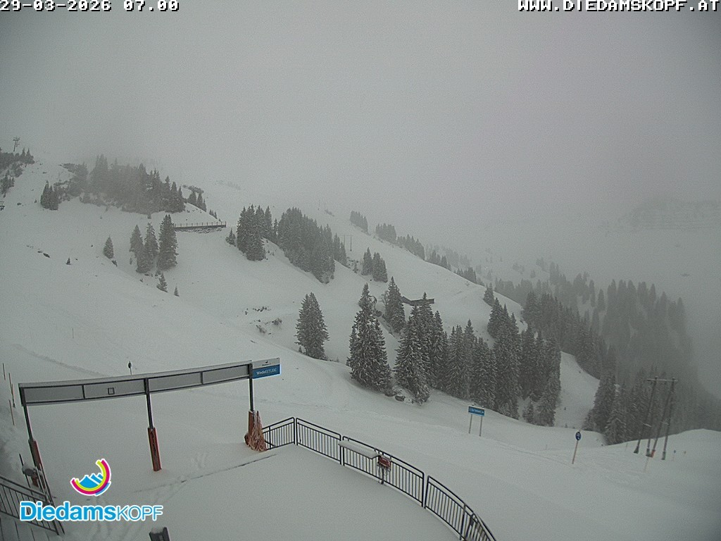 Archiv Foto Webcam Diedamskopf: Ausblick Wedelstube