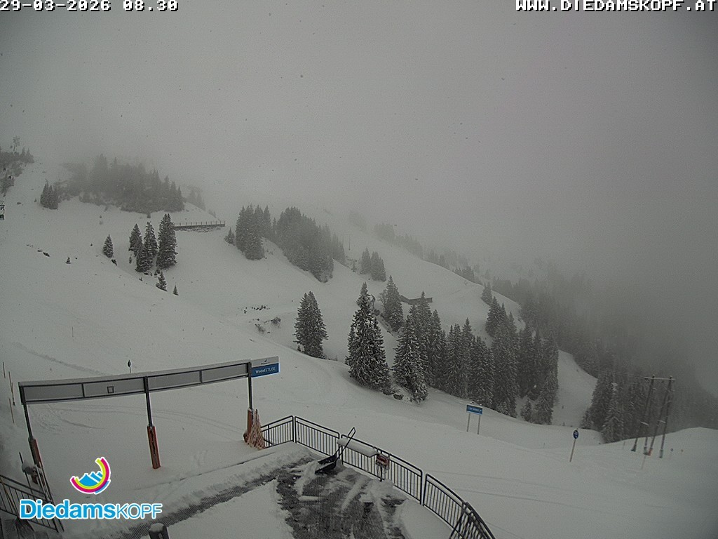 Archiv Foto Webcam Diedamskopf: Ausblick Wedelstube