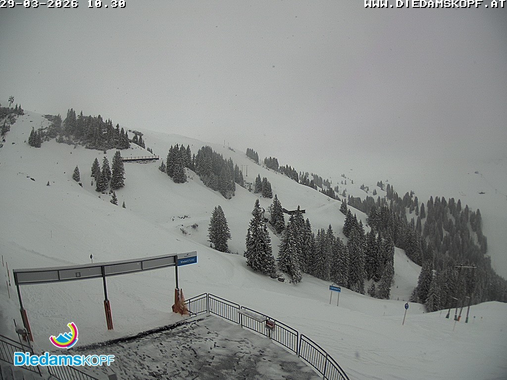 Archiv Foto Webcam Diedamskopf: Ausblick Wedelstube
