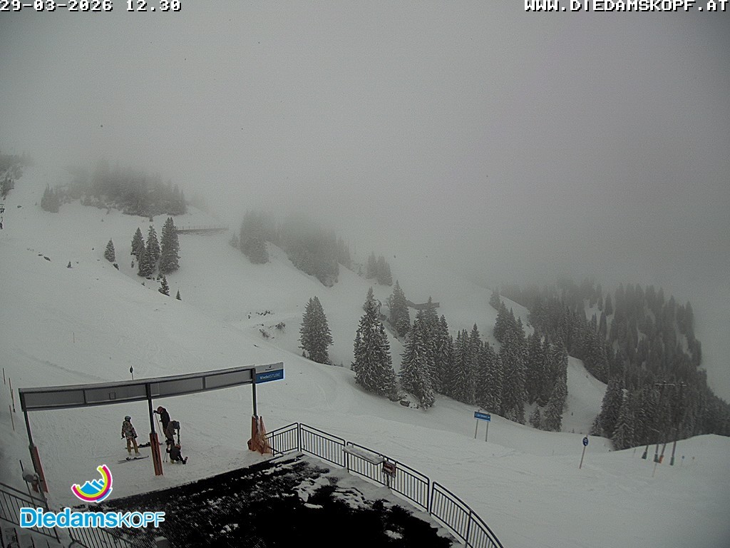Archiv Foto Webcam Diedamskopf: Ausblick Wedelstube