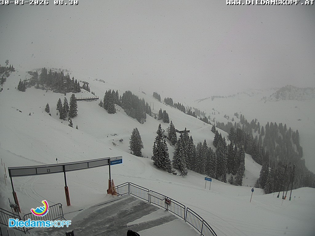 Archiv Foto Webcam Diedamskopf: Ausblick Wedelstube