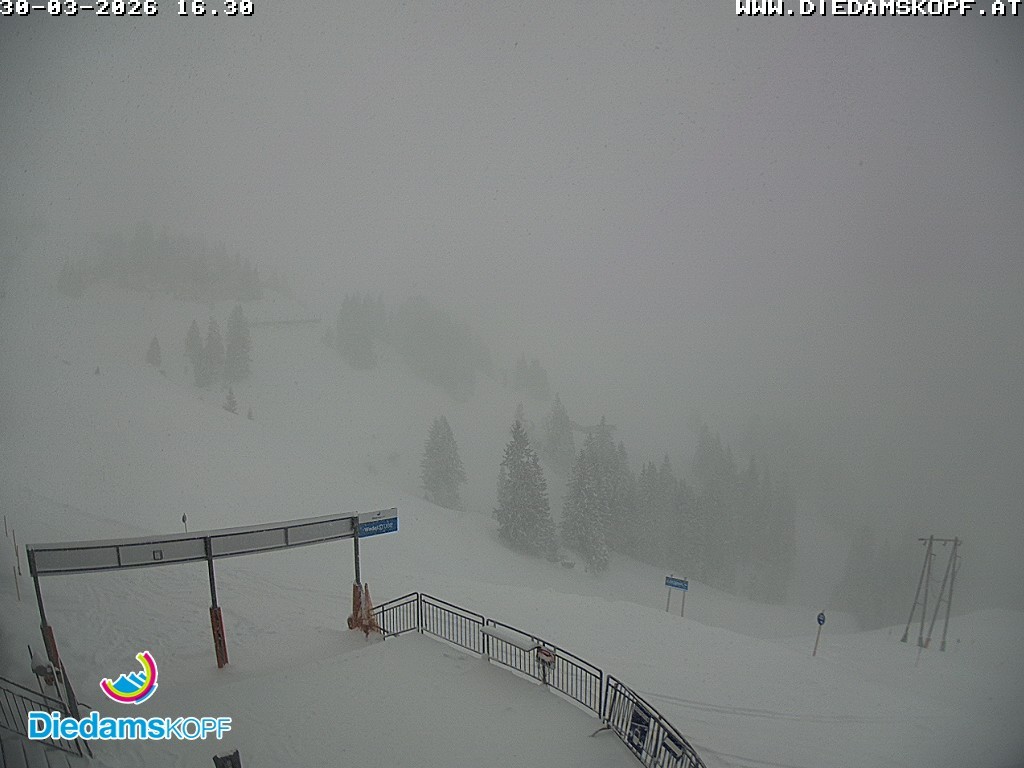 Archiv Foto Webcam Diedamskopf: Ausblick Wedelstube