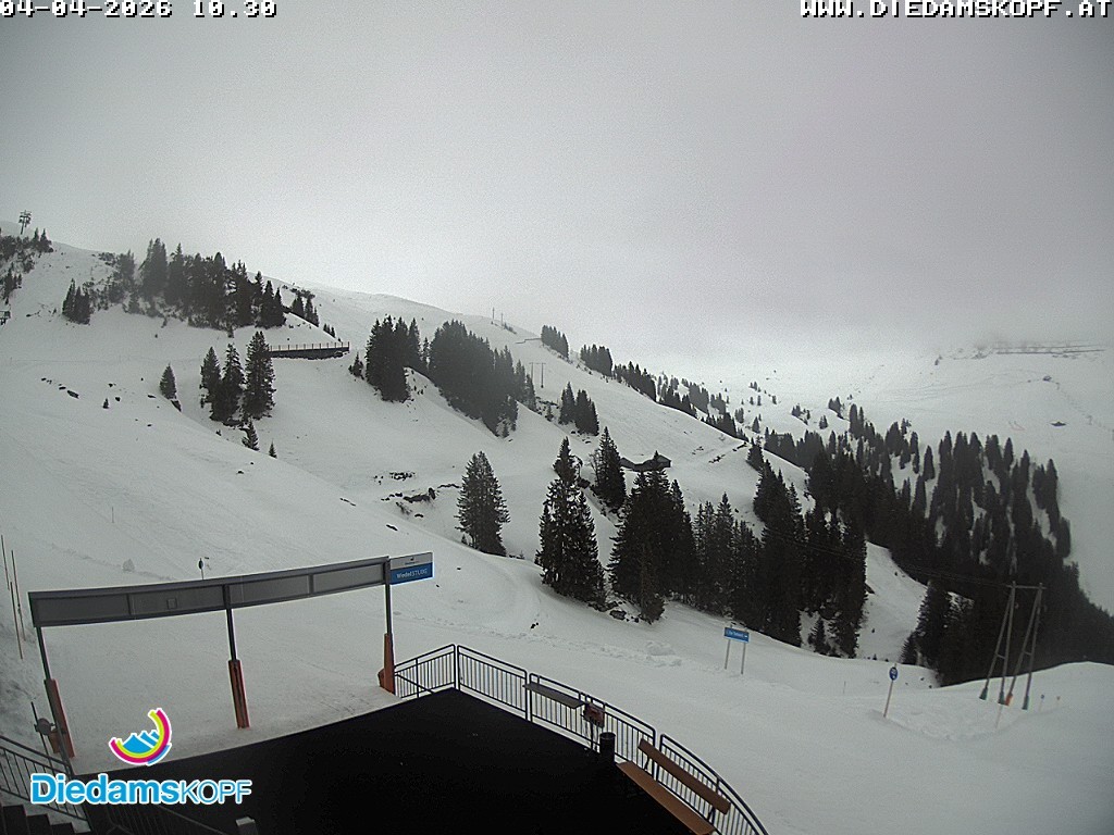 Archiv Foto Webcam Diedamskopf: Ausblick Wedelstube