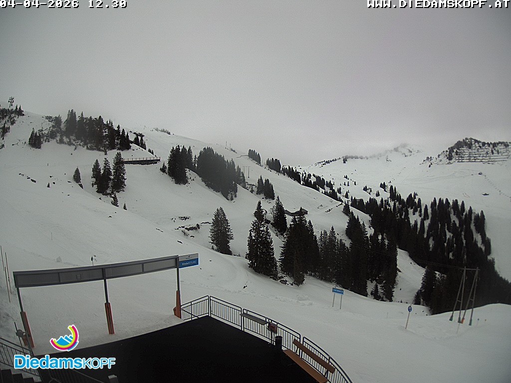 Archiv Foto Webcam Diedamskopf: Ausblick Wedelstube