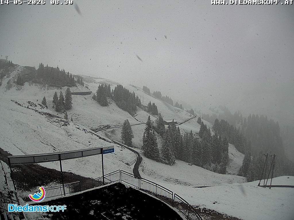 Archiv Foto Webcam Diedamskopf: Ausblick Wedelstube