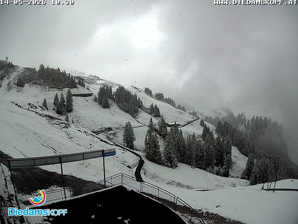 Archiv Foto Webcam Diedamskopf: Ausblick Wedelstube