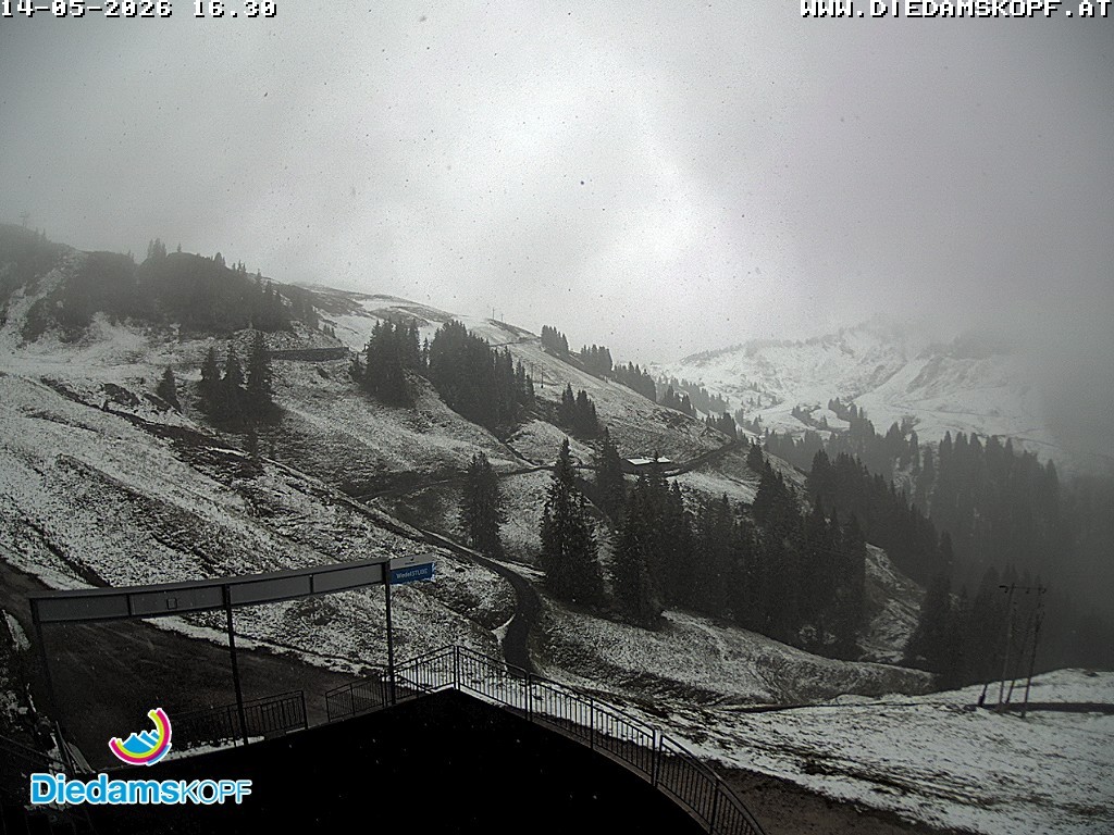 Archiv Foto Webcam Diedamskopf: Ausblick Wedelstube