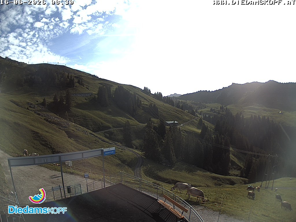 Archived image Webcam Mountain Diedamskopf - View Wedelstube