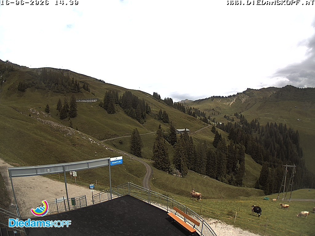 Archiv Foto Webcam Diedamskopf: Ausblick Wedelstube