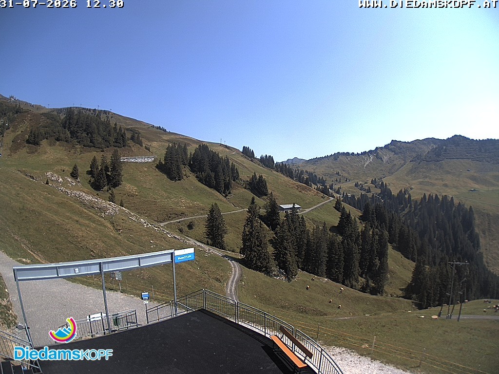 Archiv Foto Webcam Diedamskopf: Ausblick Wedelstube