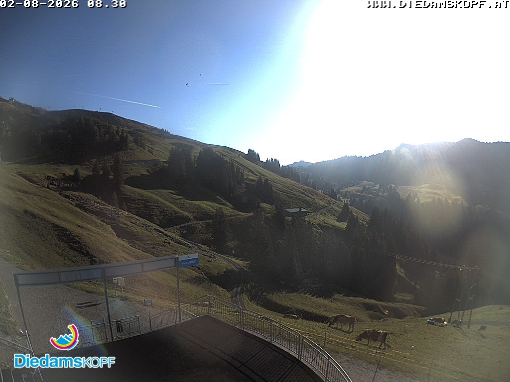 Archiv Foto Webcam Diedamskopf: Ausblick Wedelstube