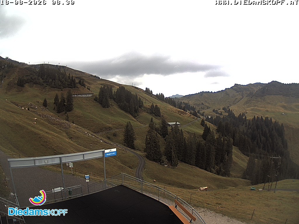 Archiv Foto Webcam Diedamskopf: Ausblick Wedelstube