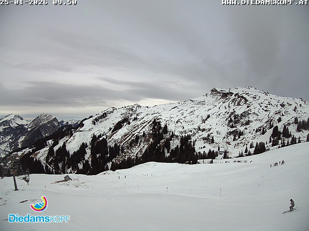 Archived image Webcam Diedamskopf: Panoramic view Breitenalpe