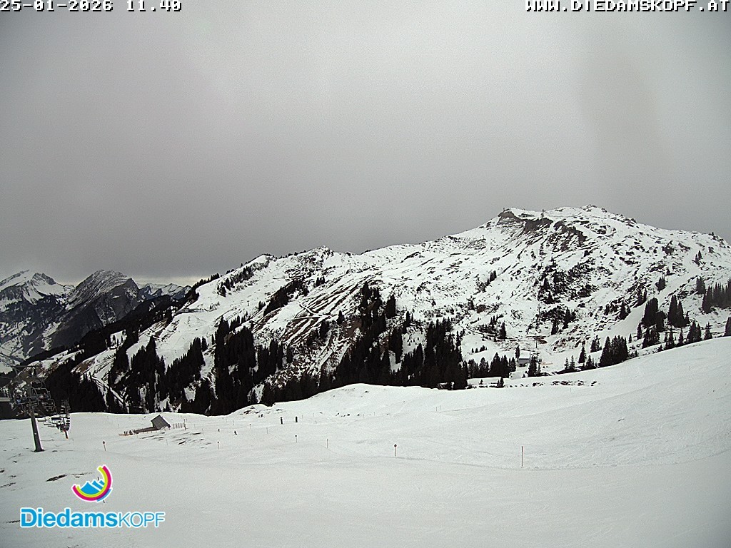 Archived image Webcam Diedamskopf: Panoramic view Breitenalpe