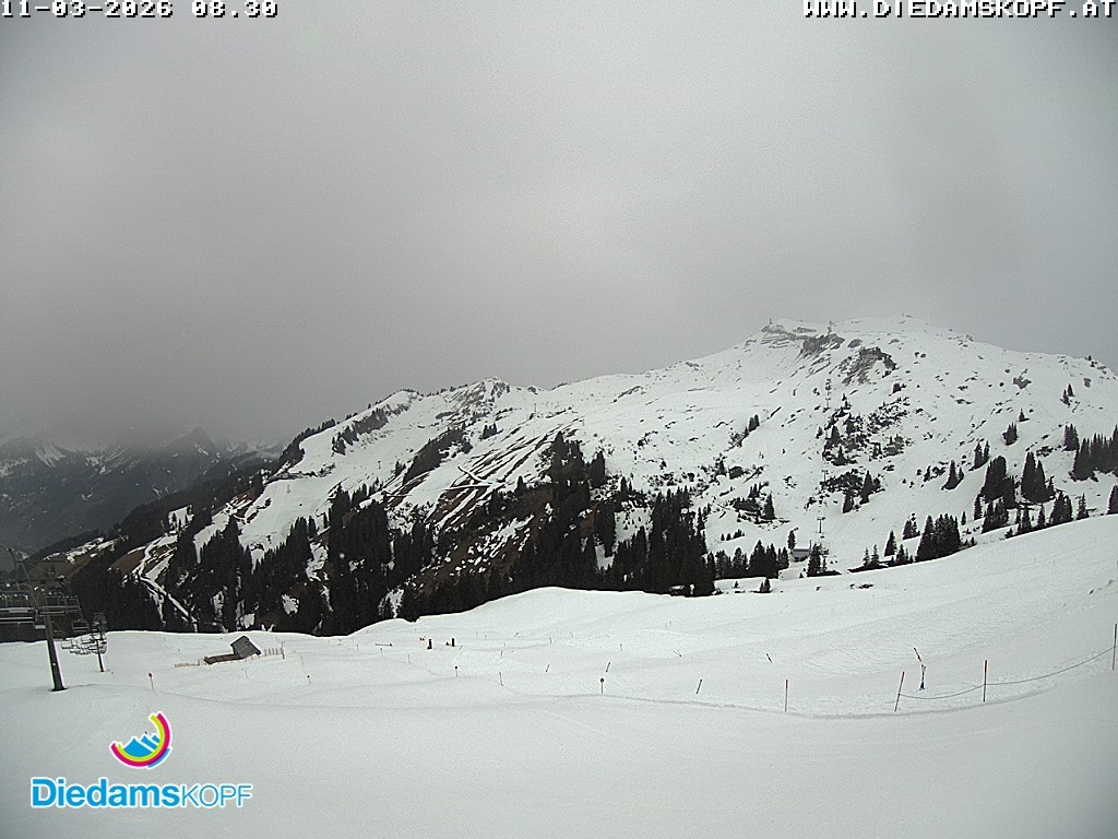 Archiv Foto Webcam Panorama Diedamskopf von der Breitenalpe