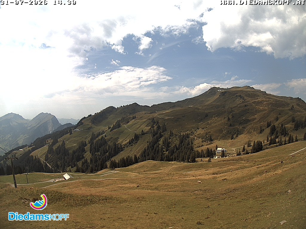 Archived image Webcam Diedamskopf: Panoramic view Breitenalpe