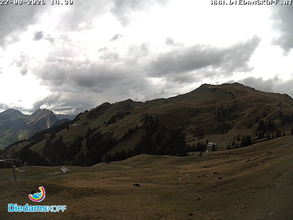 Archived image Webcam Diedamskopf: Panoramic view Breitenalpe