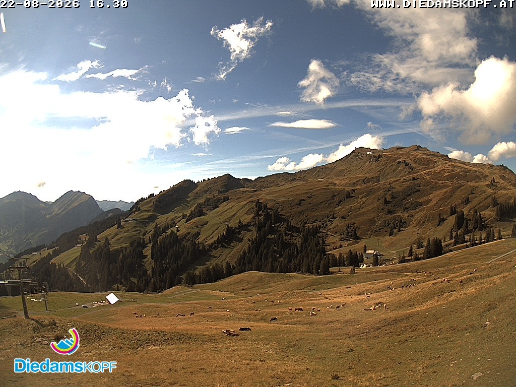 Archived image Webcam Diedamskopf: Panoramic view Breitenalpe