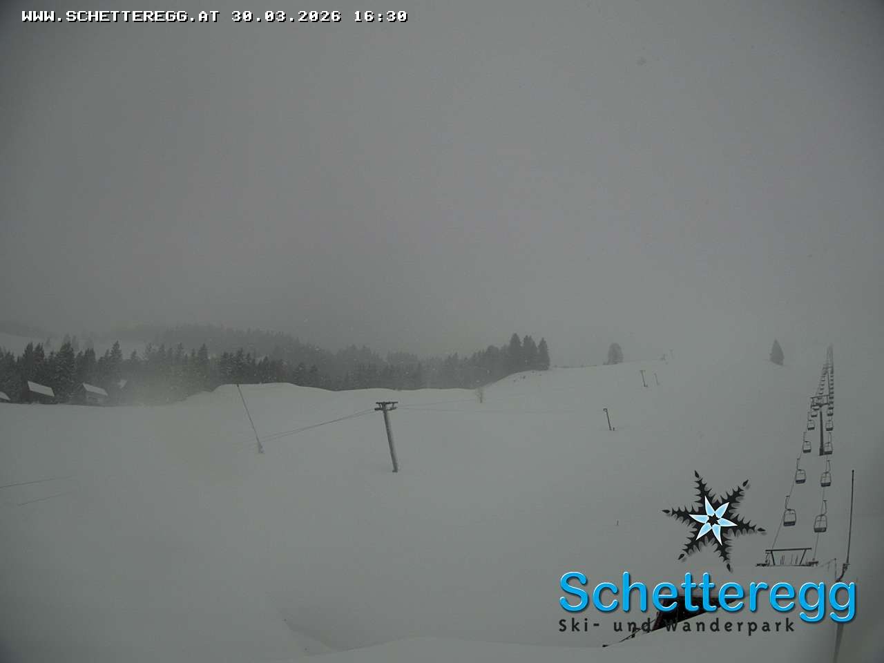 Archiv Foto Webcam Panorama Alpe Schetteregg, Vorarlberg