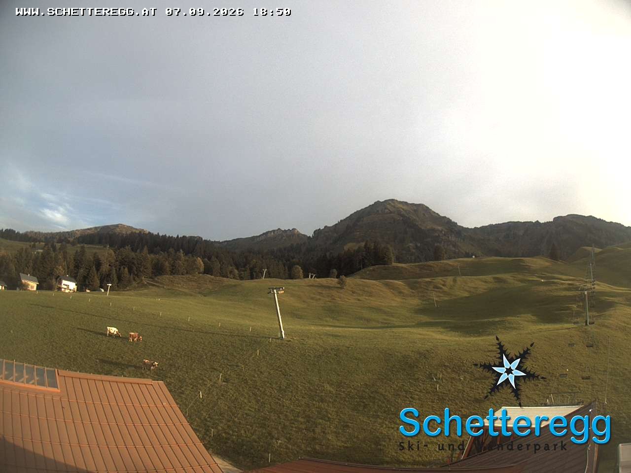 Archiv Foto Webcam Panorama Alpe Schetteregg, Vorarlberg