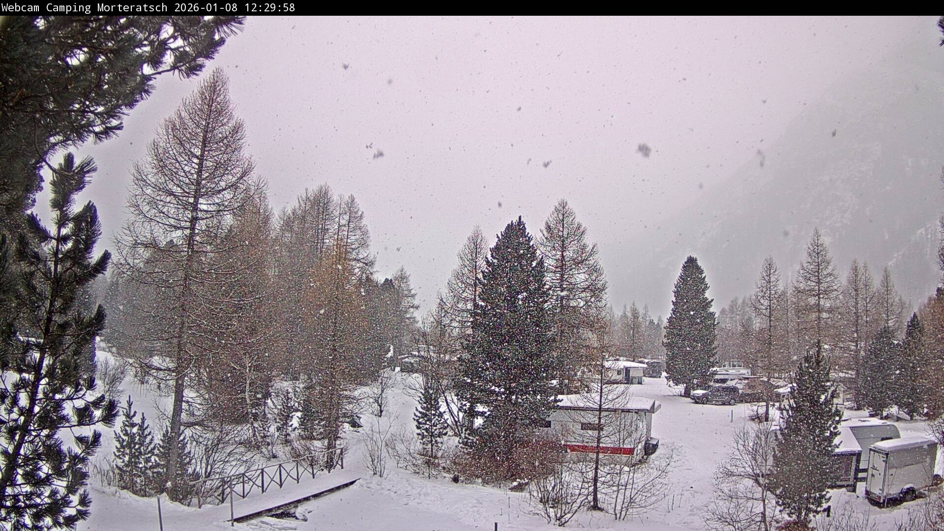 Archiv Foto Webcam Blick Campingplatz Morteratsch