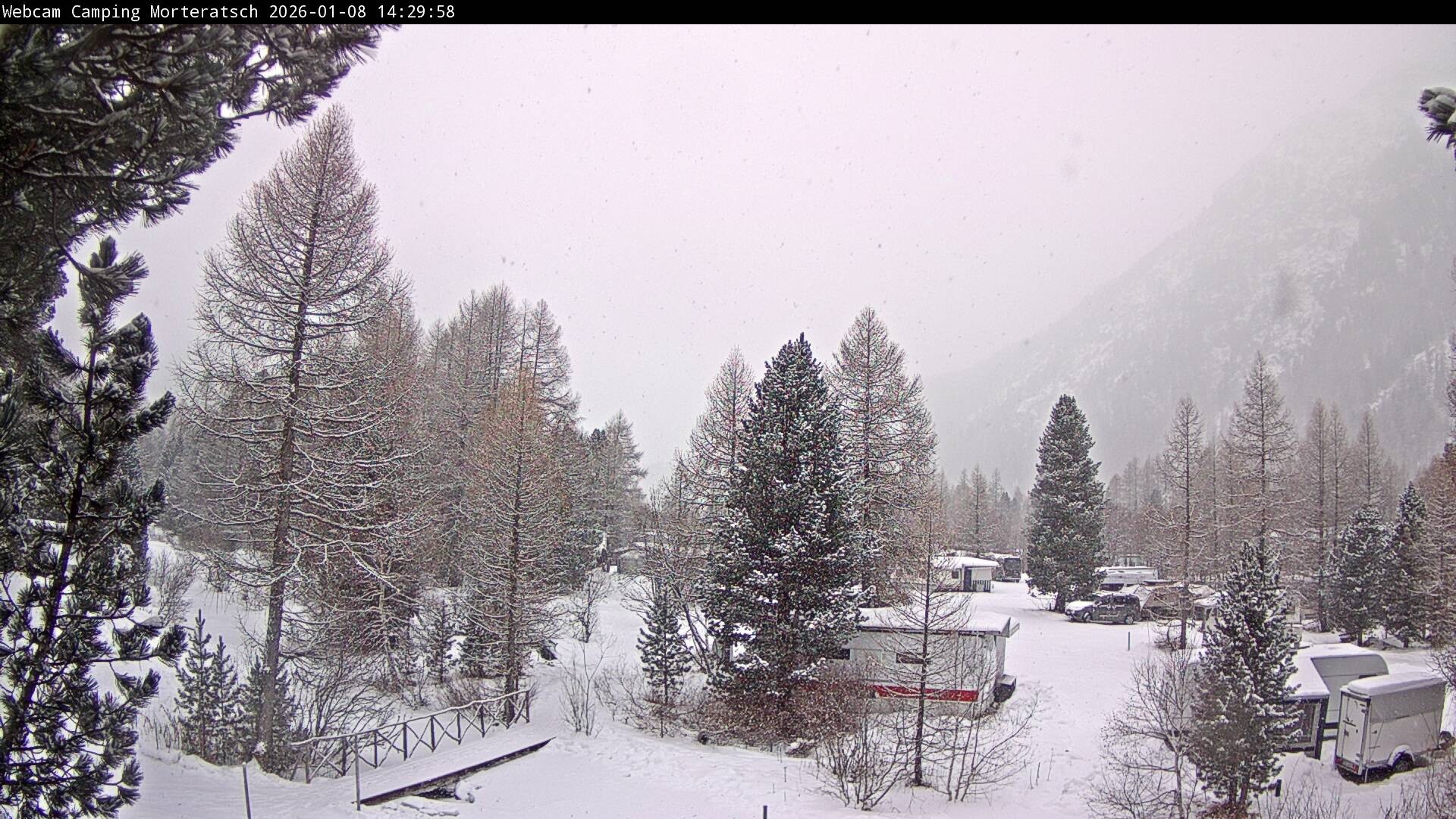 Archiv Foto Webcam Blick Campingplatz Morteratsch