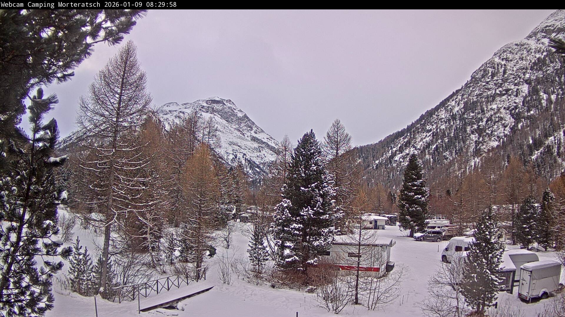 Archiv Foto Webcam Blick Campingplatz Morteratsch