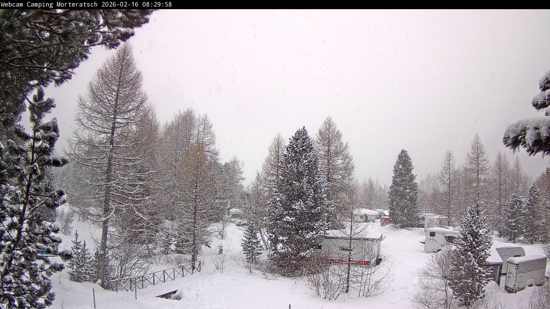 Archiv Foto Webcam Blick Campingplatz Morteratsch