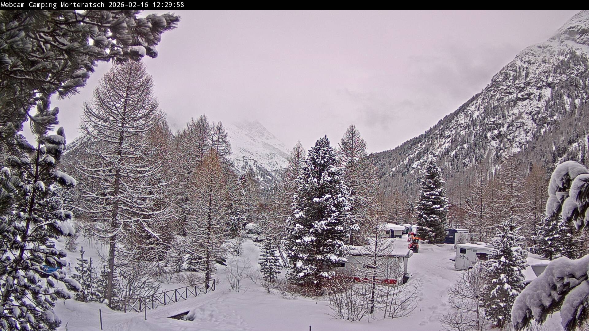 Archiv Foto Webcam Blick Campingplatz Morteratsch