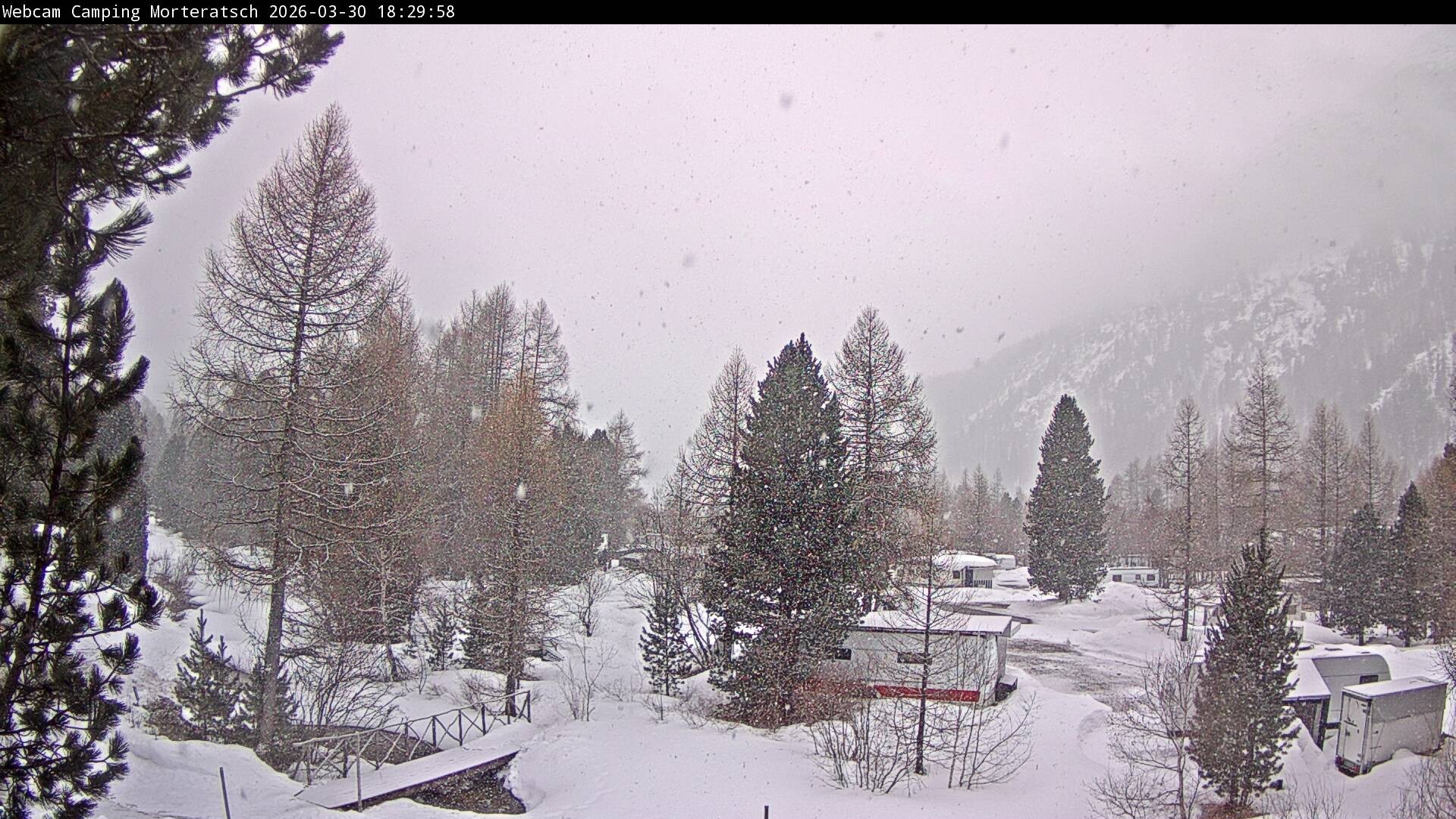 Archiv Foto Webcam Blick Campingplatz Morteratsch