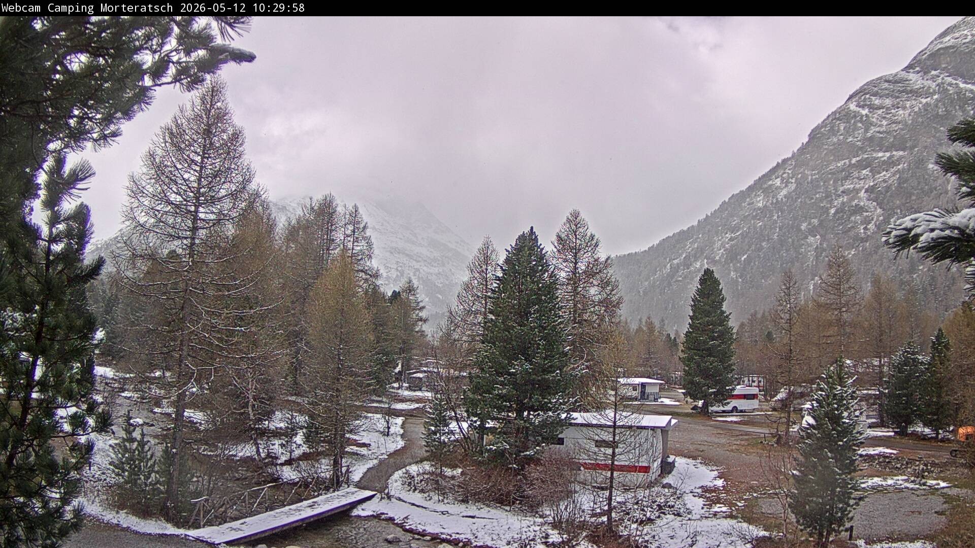 Archiv Foto Webcam Blick Campingplatz Morteratsch