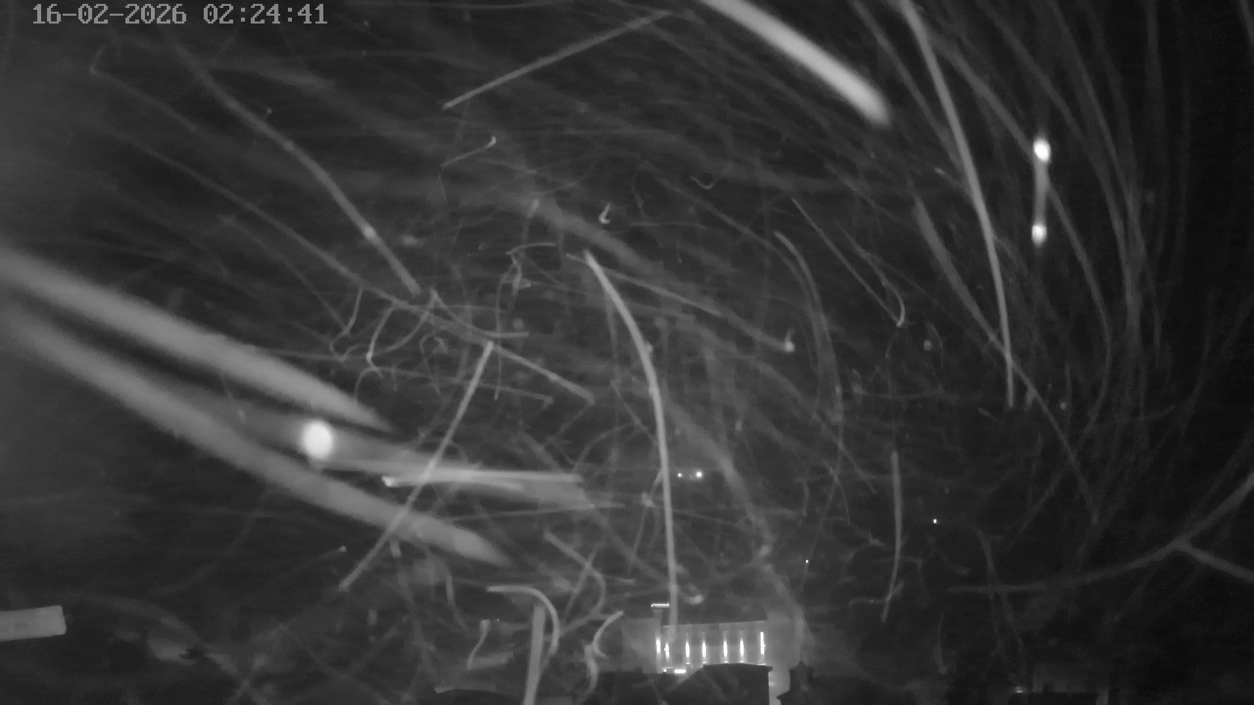 Archiv Foto Webcam Zernez - Oberengadin